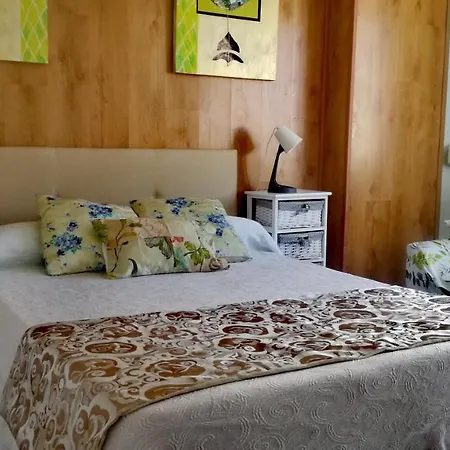 Pensión Residencia Miñones 3*
